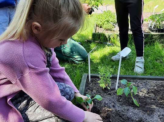 Gr III W naszym ogródeczku