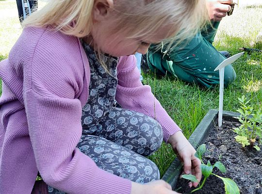 Gr III W naszym ogródeczku