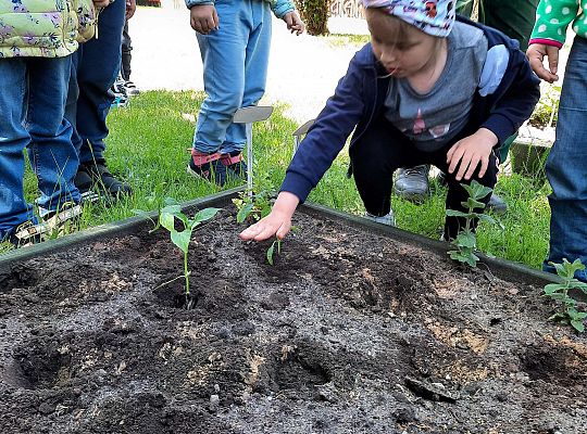 Gr III W naszym ogródeczku