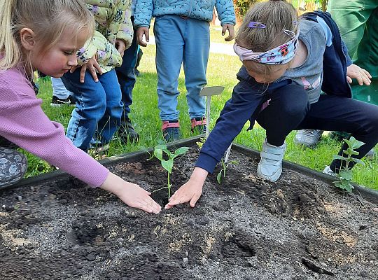 Gr III W naszym ogródeczku