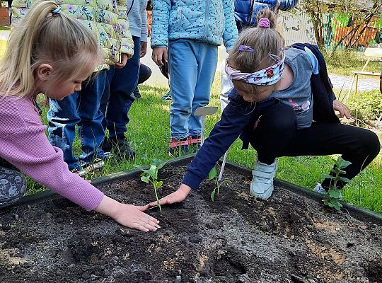 Gr III W naszym ogródeczku