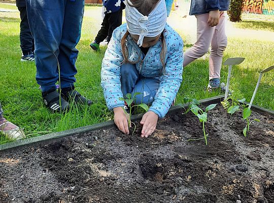 Gr III W naszym ogródeczku
