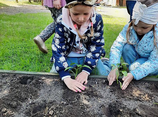 Gr III W naszym ogródeczku