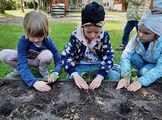 Gr III W naszym ogródeczku