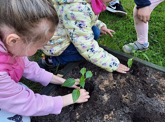 Gr III W naszym ogródeczku