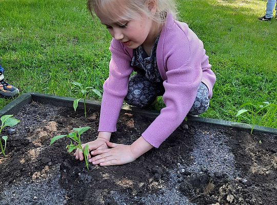 Gr III W naszym ogródeczku