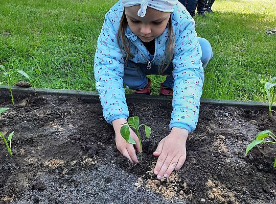 Gr III W naszym ogródeczku