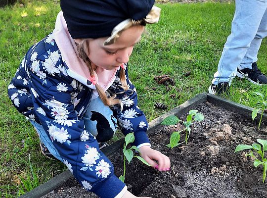 Gr III W naszym ogródeczku