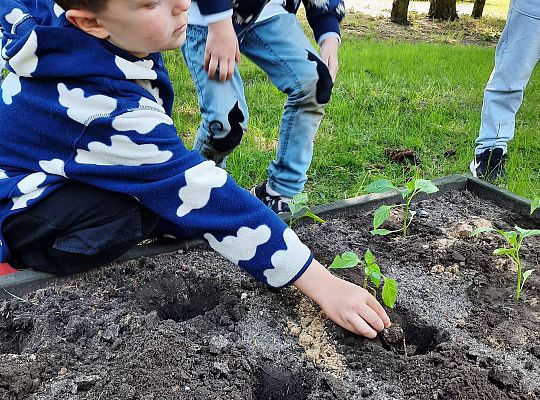 Gr III W naszym ogródeczku