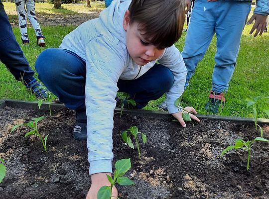 Gr III W naszym ogródeczku