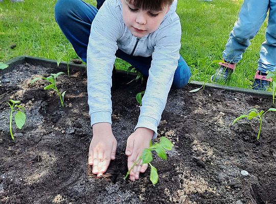 Gr III W naszym ogródeczku