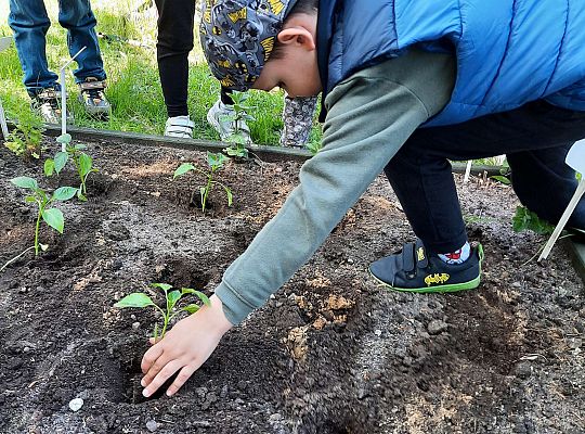 Gr III W naszym ogródeczku