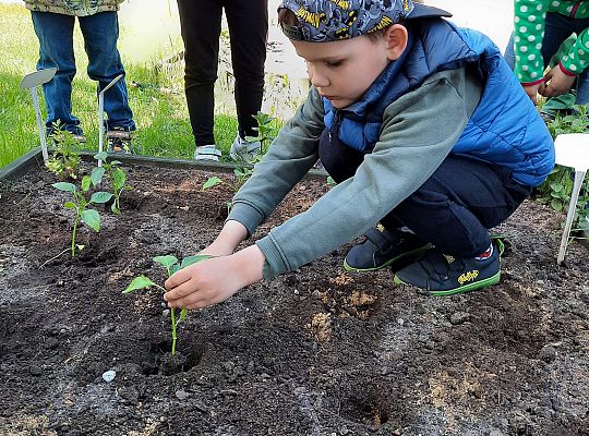 Gr III W naszym ogródeczku