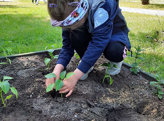 Gr III W naszym ogródeczku