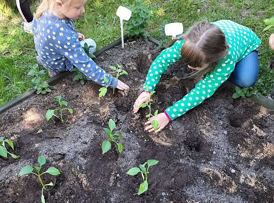 Gr III W naszym ogródeczku