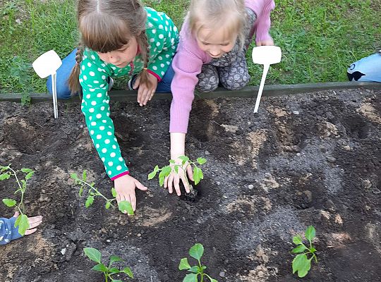 Gr III W naszym ogródeczku