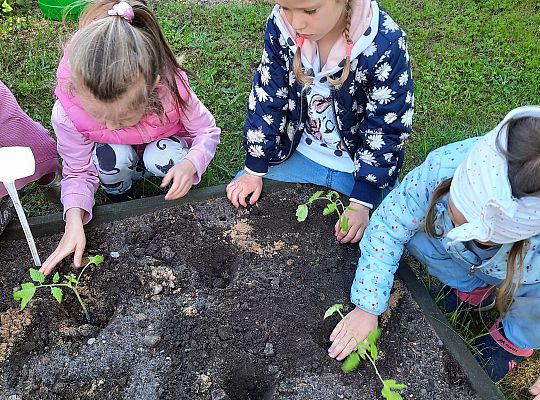 Gr III W naszym ogródeczku