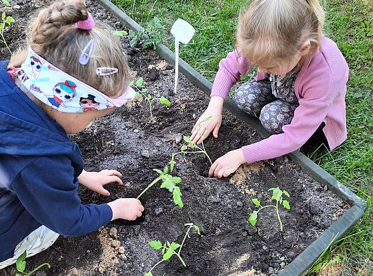 Gr III W naszym ogródeczku