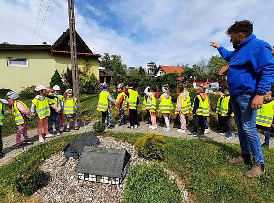 Gr. III "Park Miniatur" i "Park Gigantów"- Strysza Buda