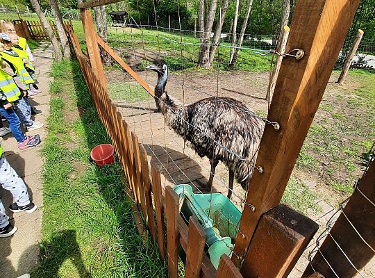 Gr. III "Park Miniatur" i "Park Gigantów"- Strysza Buda