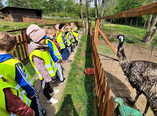 Gr. III "Park Miniatur" i "Park Gigantów"- Strysza Buda