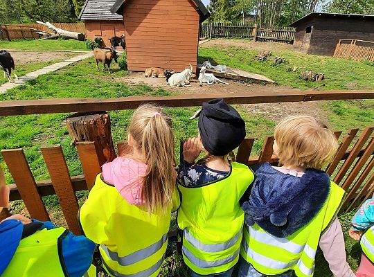 Gr. III "Park Miniatur" i "Park Gigantów"- Strysza Buda