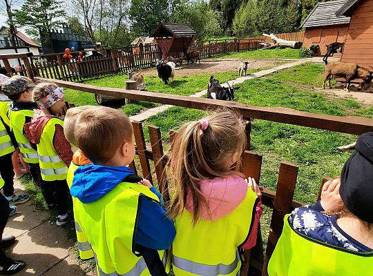 Gr. III "Park Miniatur" i "Park Gigantów"- Strysza Buda