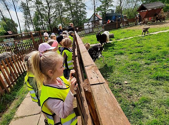 Gr. III "Park Miniatur" i "Park Gigantów"- Strysza Buda