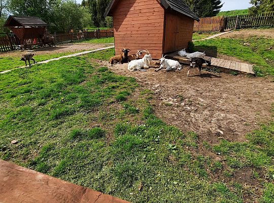 Gr. III "Park Miniatur" i "Park Gigantów"- Strysza Buda