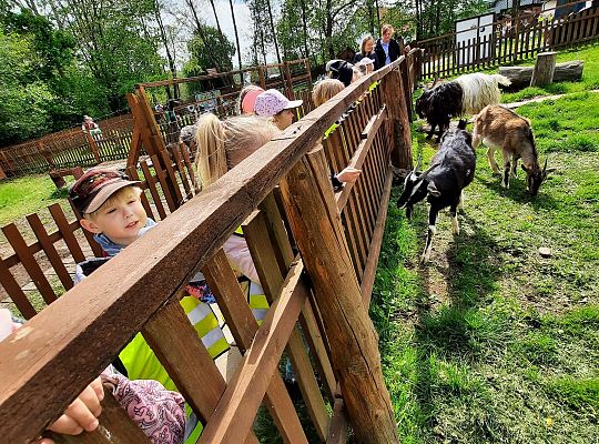 Gr. III "Park Miniatur" i "Park Gigantów"- Strysza Buda