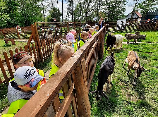 Gr. III "Park Miniatur" i "Park Gigantów"- Strysza Buda