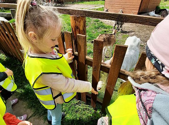 Gr. III "Park Miniatur" i "Park Gigantów"- Strysza Buda