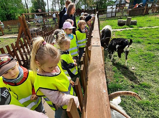 Gr. III "Park Miniatur" i "Park Gigantów"- Strysza Buda