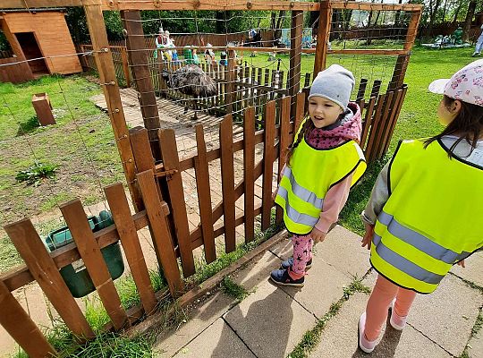 Gr. III "Park Miniatur" i "Park Gigantów"- Strysza Buda