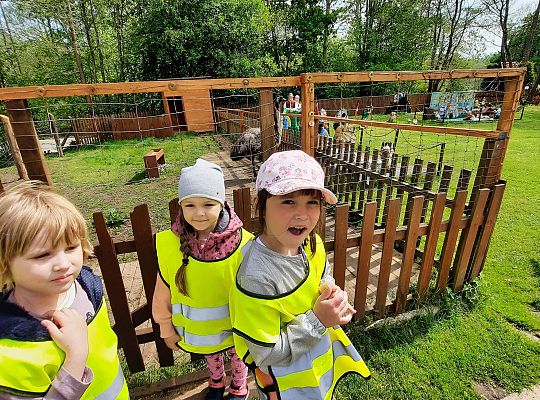 Gr. III "Park Miniatur" i "Park Gigantów"- Strysza Buda