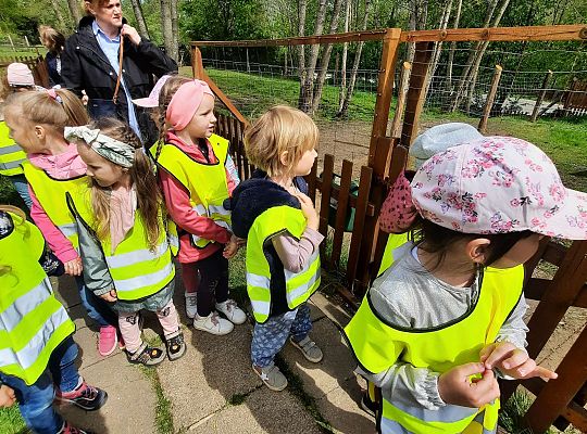 Gr. III "Park Miniatur" i "Park Gigantów"- Strysza Buda