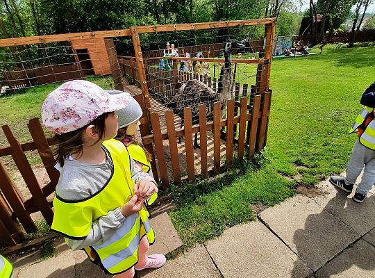 Gr. III "Park Miniatur" i "Park Gigantów"- Strysza Buda
