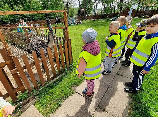 Gr. III "Park Miniatur" i "Park Gigantów"- Strysza Buda