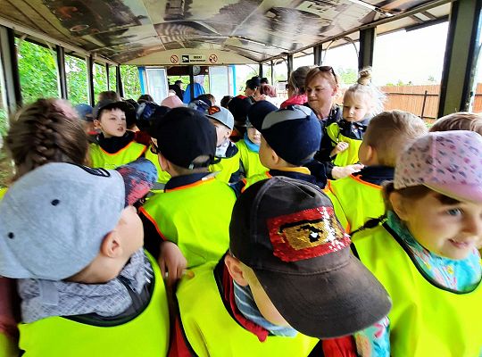 Gr. III "Park Miniatur" i "Park Gigantów"- Strysza Buda