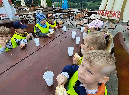 Gr. III "Park Miniatur" i "Park Gigantów"- Strysza Buda