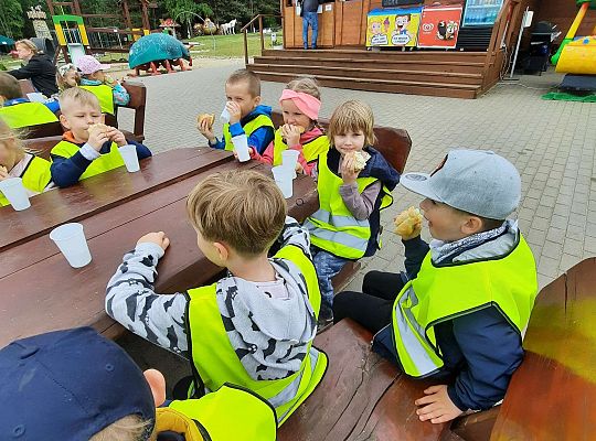 Gr. III "Park Miniatur" i "Park Gigantów"- Strysza Buda