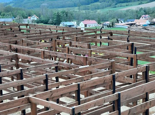 Gr. III "Park Miniatur" i "Park Gigantów"- Strysza Buda