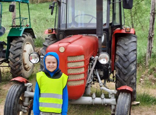 Gr. III "Park Miniatur" i "Park Gigantów"- Strysza Buda