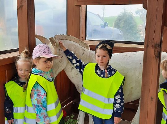 Gr. III "Park Miniatur" i "Park Gigantów"- Strysza Buda