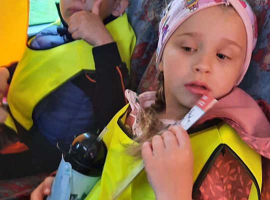 Gr. III "Park Miniatur" i "Park Gigantów"- Strysza Buda