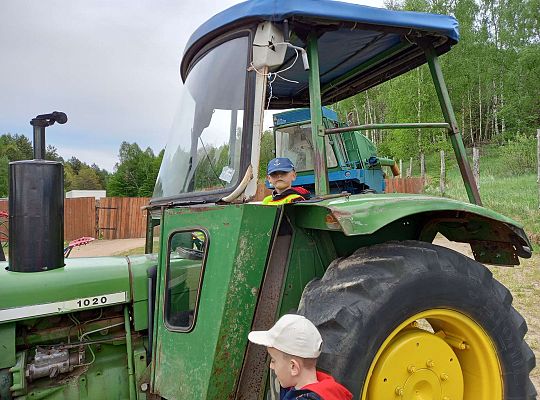 Gr. IV "Park Miniatur" i "Park Gigantów" - Strysza Buda