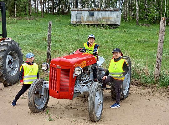 Gr. IV "Park Miniatur" i "Park Gigantów" - Strysza Buda