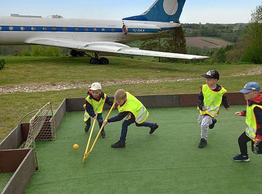 Gr. IV "Park Miniatur" i "Park Gigantów" - Strysza Buda