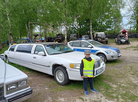 Gr. IV "Park Miniatur" i "Park Gigantów" - Strysza Buda