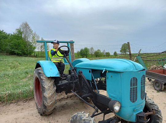 Gr. IV "Park Miniatur" i "Park Gigantów" - Strysza Buda